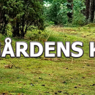 Blogg | VISSEGÅRDENS KENNEL
