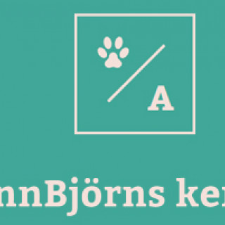 AnnBjörns kennel