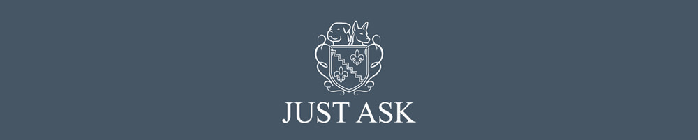 Just Ask