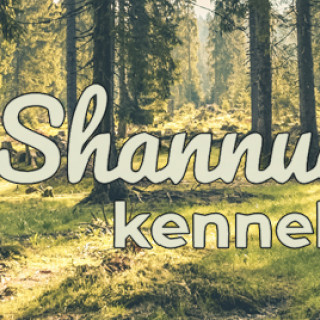 Blogg | Shannuq's kennel