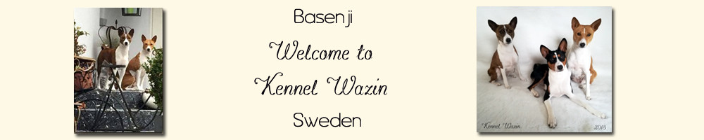Kennel Wazin