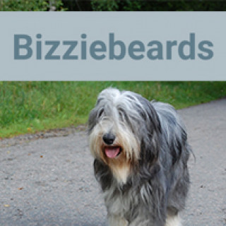 Bizziebeards