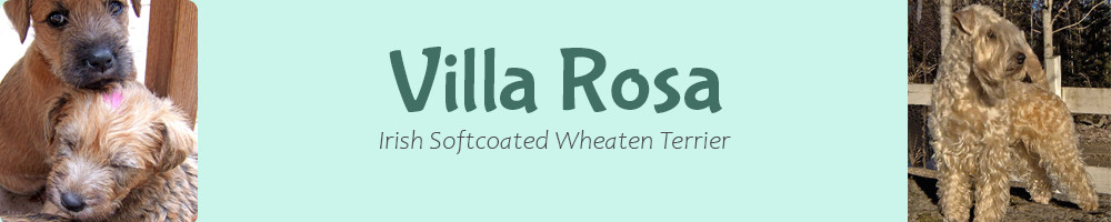 Villa Rosa