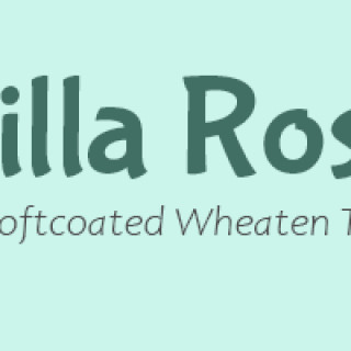 Startsida | Villa Rosa