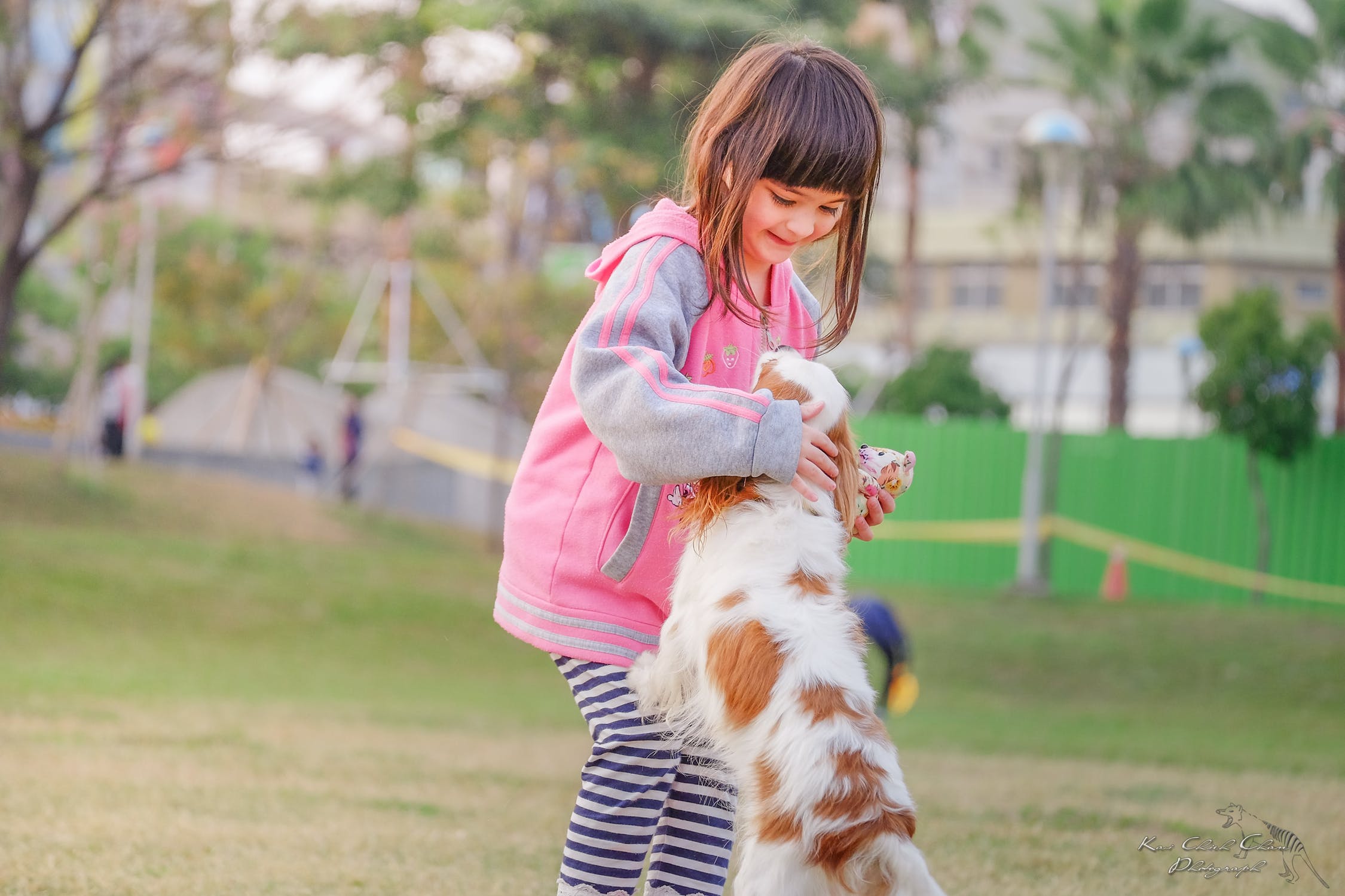 Child playing with dog