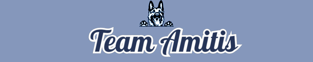 Team Amitis