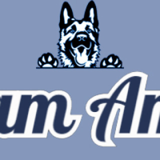 Team Amitis